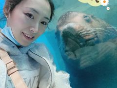 -泉城欧乐堡海洋极地世界