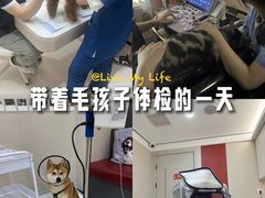 -御宝贝24h宠物医院·转诊中心·CT核磁血透中心(厦门总院)