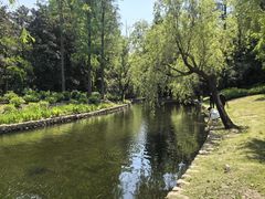 -上海滨江森林公园