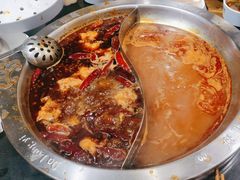 -大龙燚火锅(春熙店)
