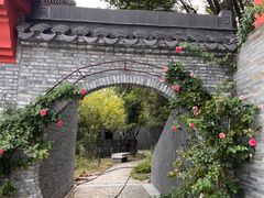 -句容茅山景区