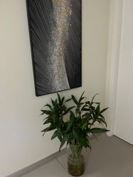 点击看大图 -海涛医疗美容·面部抗衰·注射美鼻