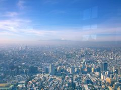 -东京都厅舍
