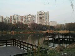 -新江湾城公园