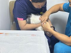 -美联众合动物医院·24h转诊中心
