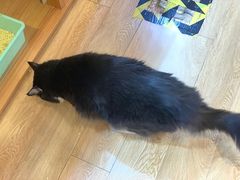 -Pets First伊珊娜洗护·精致美容·家庭式寄养(新会路店)