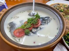 -全乐鱼馆·淳牌有机鱼直营店
