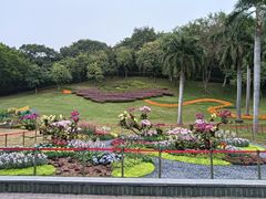 -广州市白云山风景名胜区