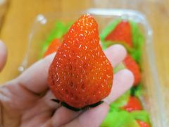 -百果园PAGODA(应元路店)