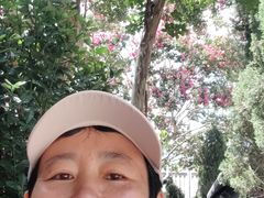 -真庆观