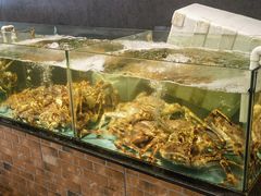 -九號渔港·蒸汽海鲜·粤菜茶点(八卦岭店)