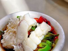 -港升鱼师傅·中山脆肉鲩