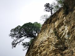 -北京上方山国家森林公园