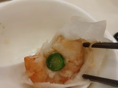 水晶鲜露笋蒸虾饺-凤凰楼酒家·粤宴点心(华强北店)