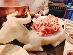 -额尔敦涮肉自助(摩尔城店)