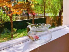 -MAISON门前杂货店