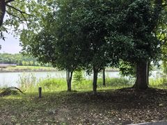 -梁鸿国家湿地公园