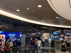 -百美汇影城(LUXE嘉里中心店)