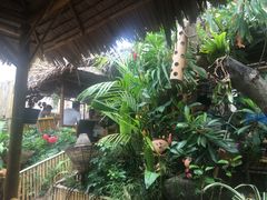 -Jungle Kitchen