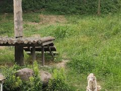 -宁波野生动物园