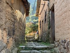 -杨家堂村