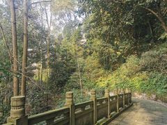 -凤栖山