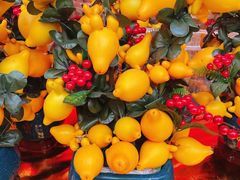 -越秀西湖花市(广州城市广场花卉店)