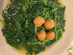 -翠园(北京王府中环店)