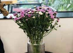 -潮沙龙剪发烫发染发