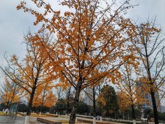 -重庆中央公园(渝北区)