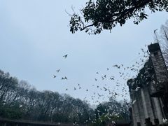 -音乐台