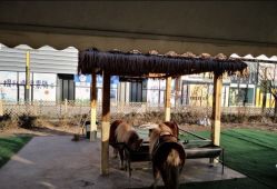 -萌宠亲子动物乐园(槐房万达店)