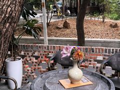 -樹下遇见树·咖啡