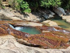 -广州白江湖森林公园