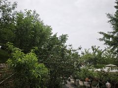 -桃源山庄·水蜜桃采摘·柴火鸡·烧烤团建(龙泉山店)
