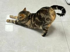 -达爱动物医院·犬猫分区·CT·复杂眼科(远洋山水分院)