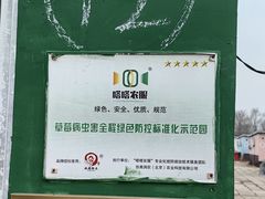 -大自然农场蔬菜草莓采摘园