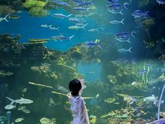 -华夏文旅西安度假区