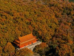 景点-中山陵景区