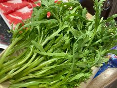 -蜀大侠火锅(森兰花园城店)