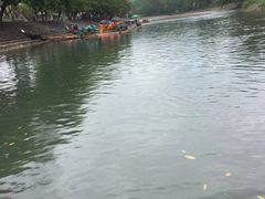 -楠溪江风景名胜区