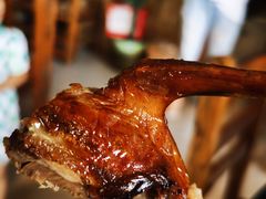 -南海鸽天下(肇庆店)