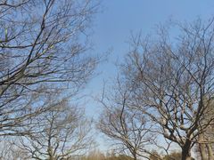 -上海滨江森林公园