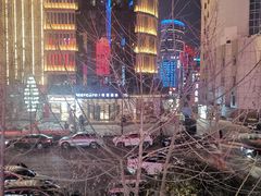 -红东阁东北菜烤肉酒馆(CROSS万象汇店)