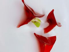 梦梁山楂鹅肝-觀芷隐轩