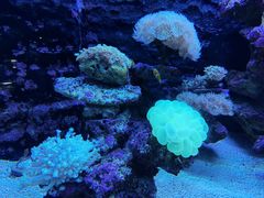 -长沙海底世界