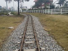 -桤木河湿地公园