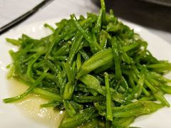 -泸沽肴(泸沽湖大洛水村农村信用社旁店)