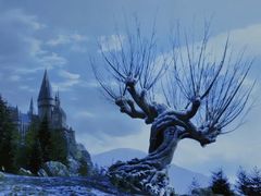 -汉长安城未央宫国家考古遗址公园