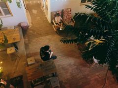 -ZING鲸鱼啤酒(葡萄院店)